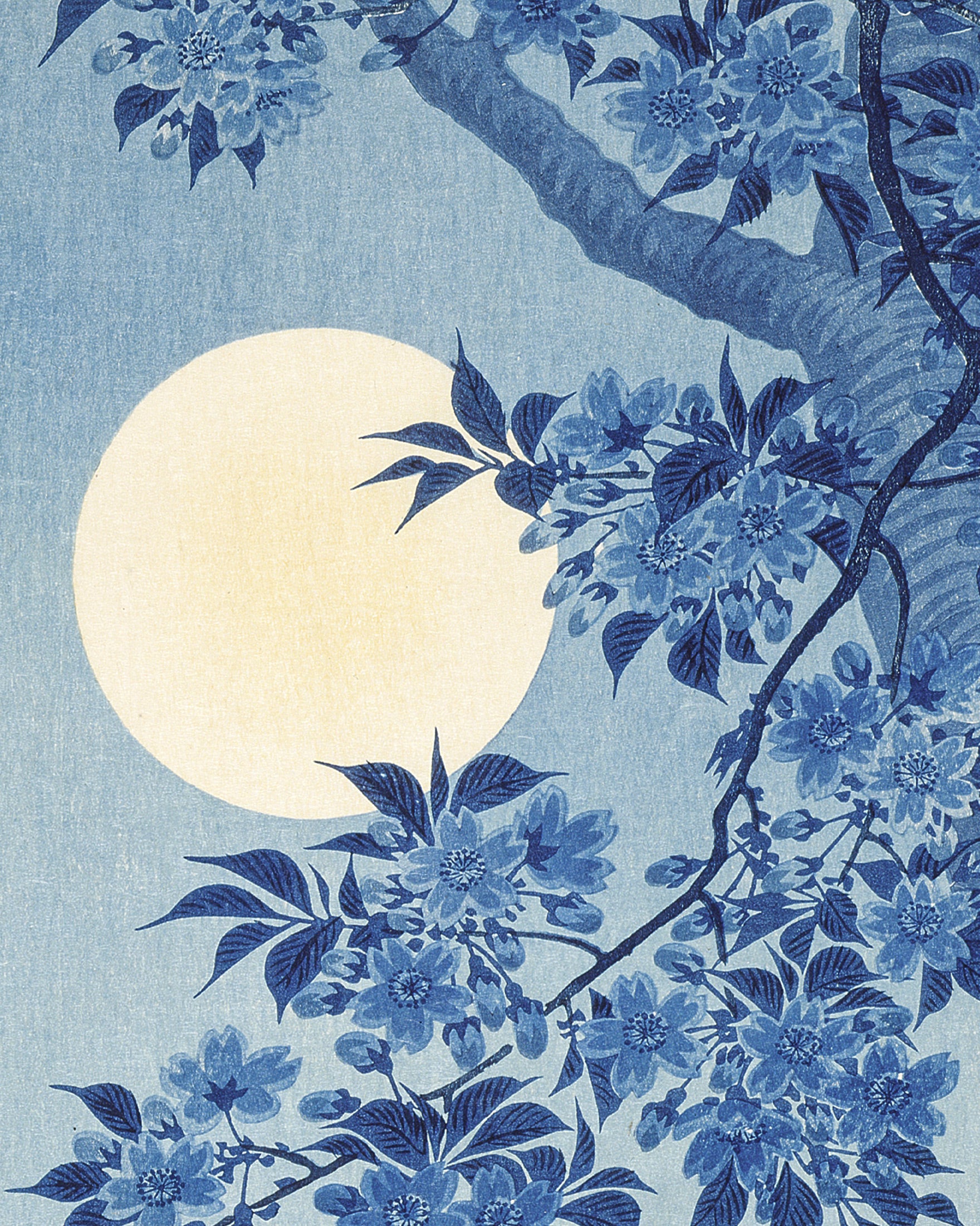 Floración de Cerezos en una Noche Iluminada por la Luna, Ohara Koson Póster