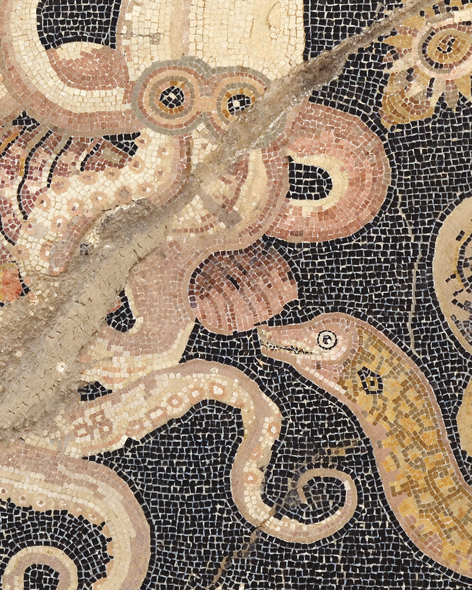 roman fresco marine life detail