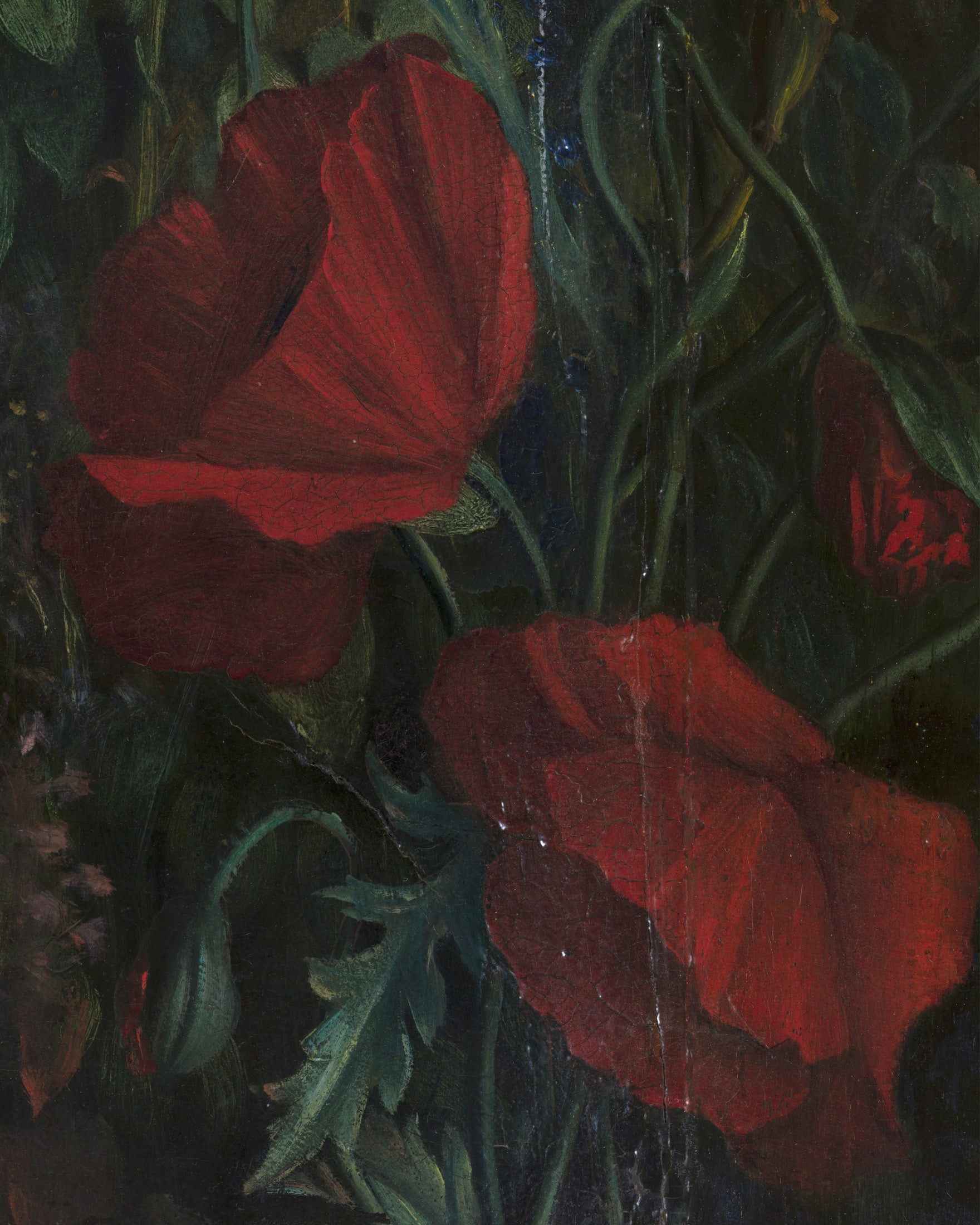 Louis Janmot "Fleur des Champs" Detalle de Mano - Lámina Decorativa de Tulipanes Rojos Póster