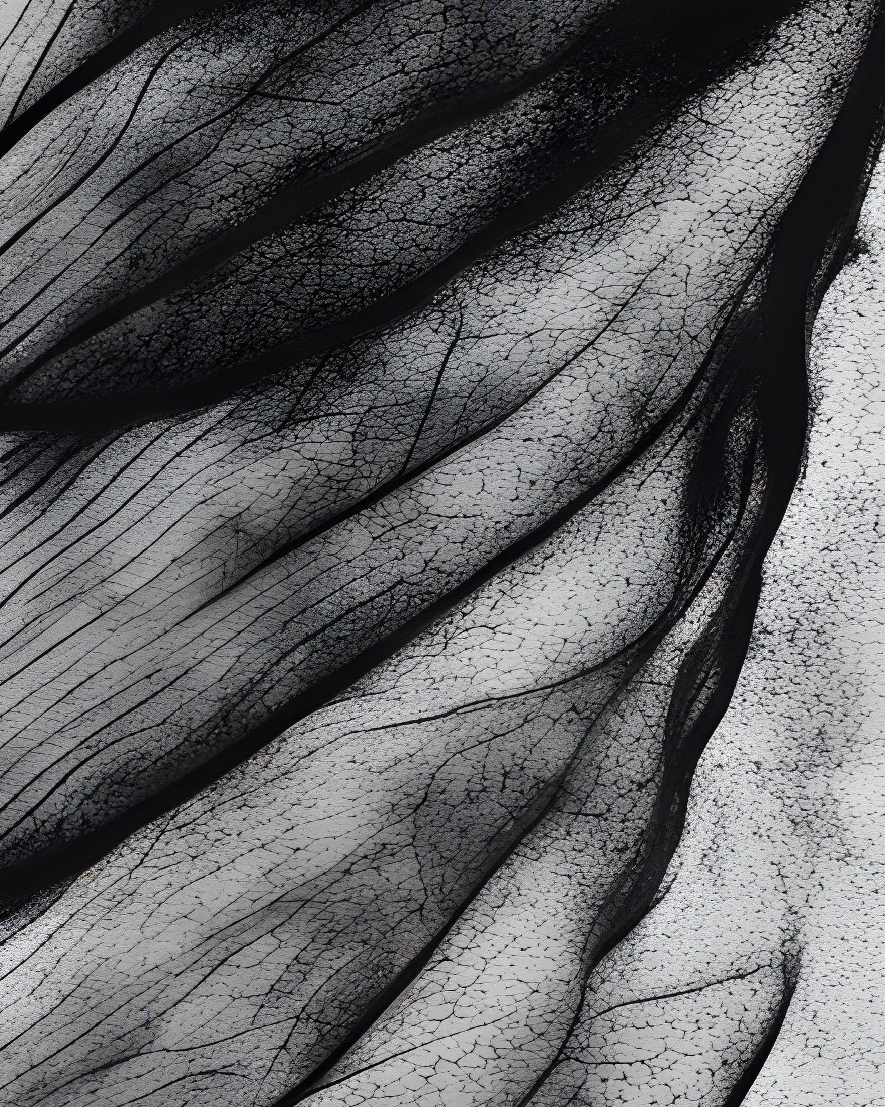 Una hoja en blanco y negro - Póster