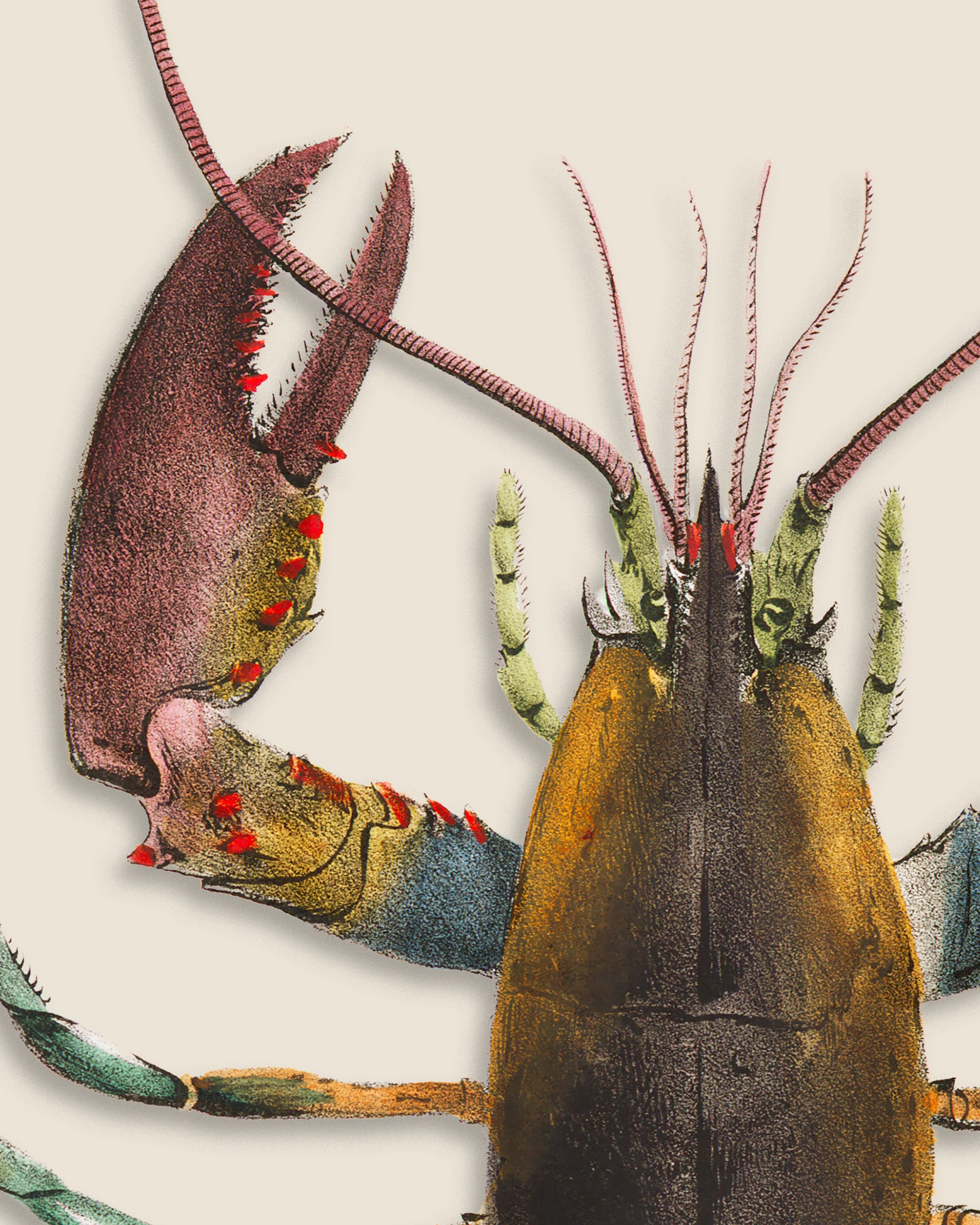 Póster "Le Homard"