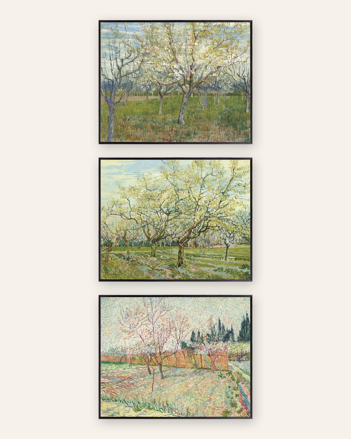 Pósters de Van Gogh, huertos en flor, conjunto de 3: rosa, blanco y con cipreses, con marcos de metal negro