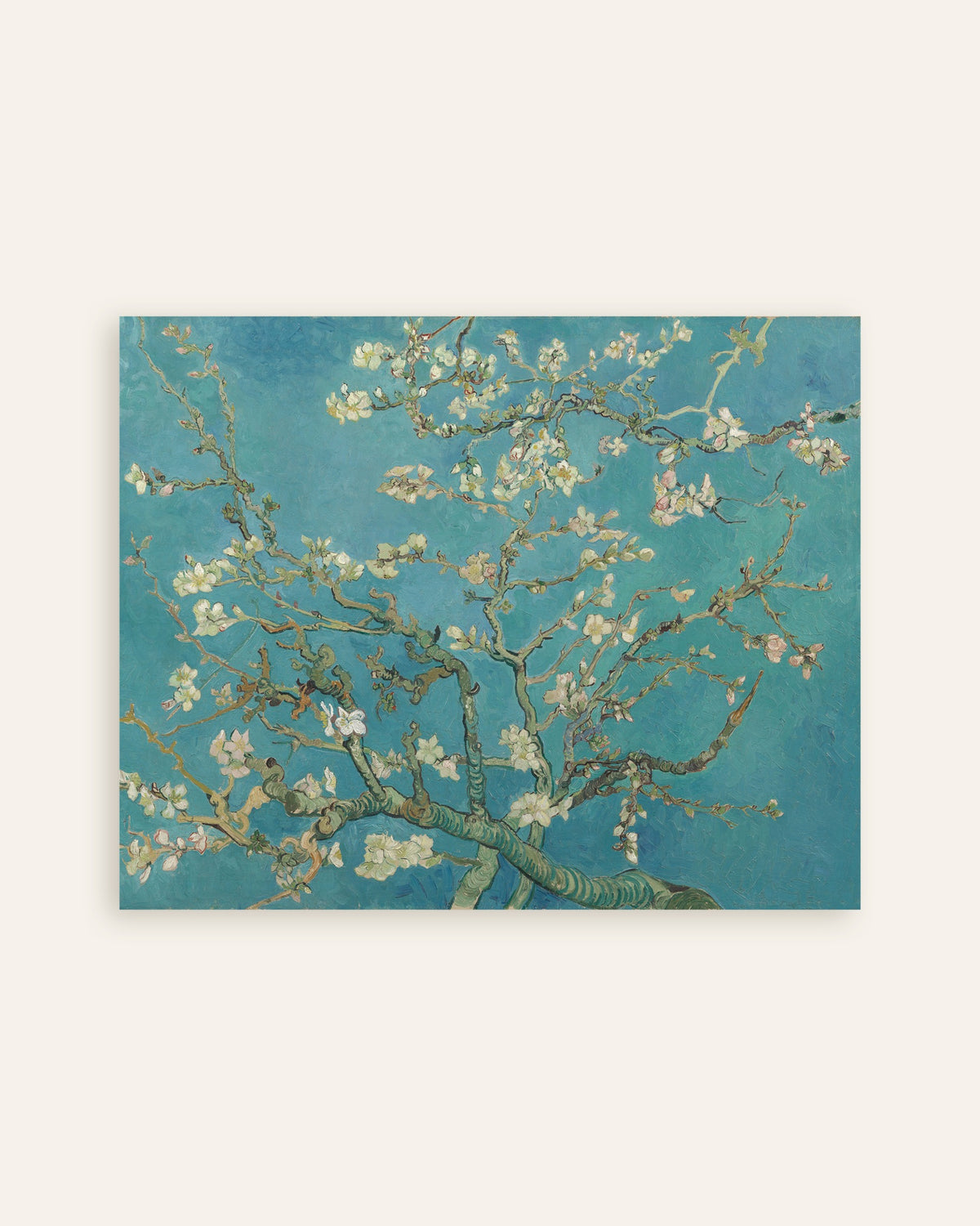 Póster Almendro en flor (1890), de Vincent van Gogh, miniatura