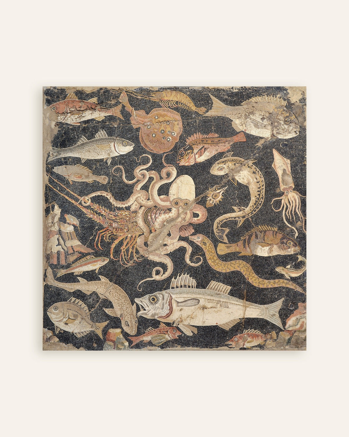 Póster del mosaico de peces de Pompeya, vida marina romana