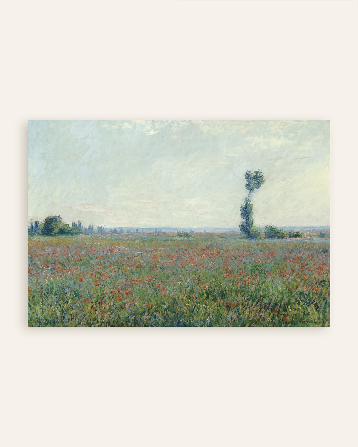 Póster Campo de amapolas, de Claude Monet, miniatura