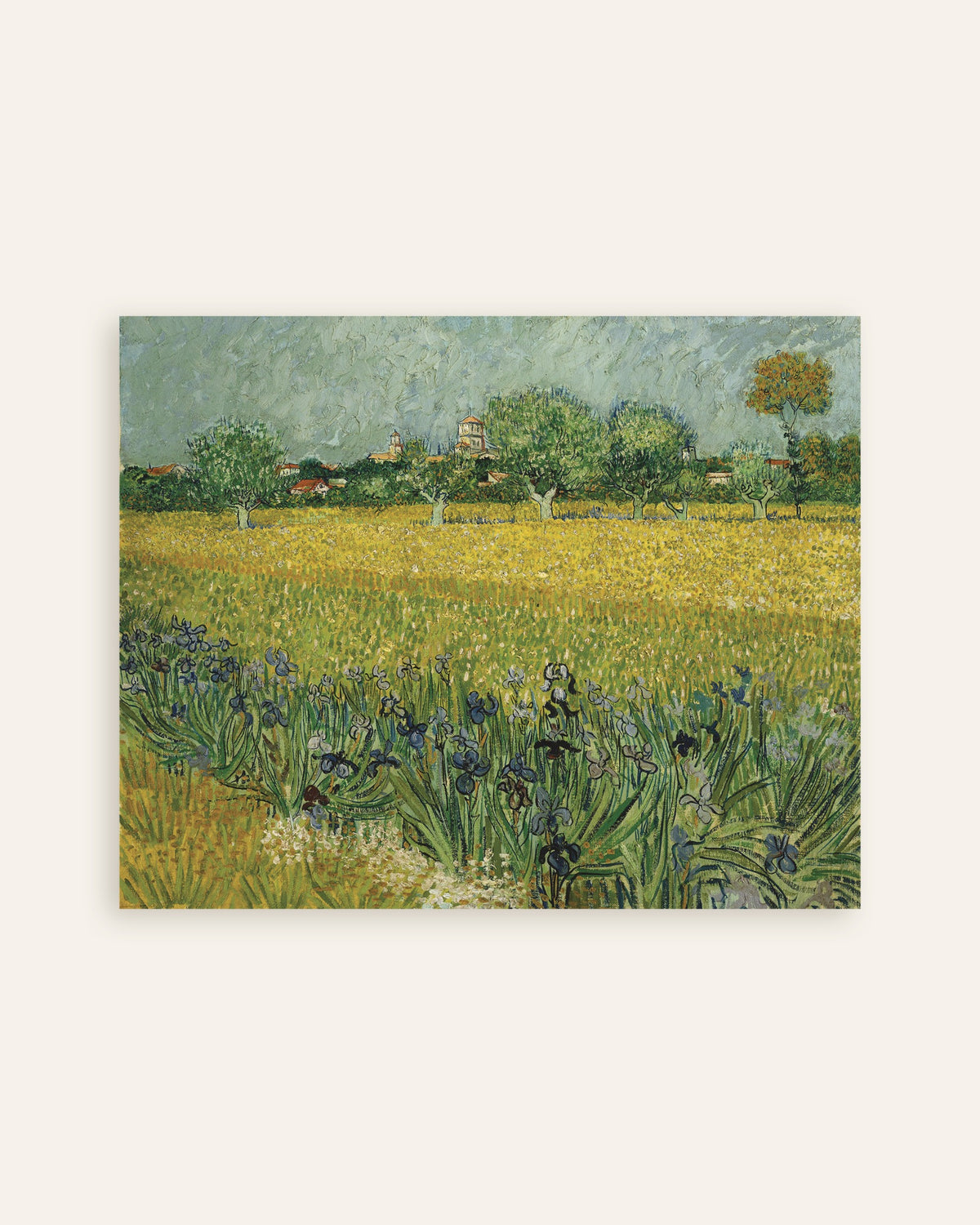 Póster de Campo con lirios cerca de Arlés (1888), de Vincent van Gogh, miniatura