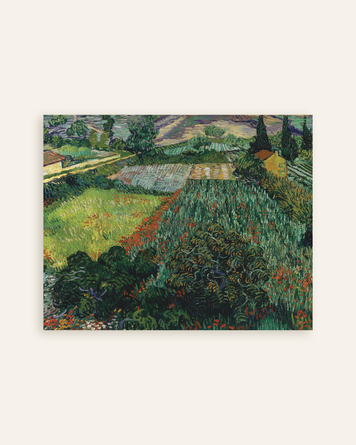 Póster de Campo de amapolas (1889), de Vincent van Gogh, en miniatura