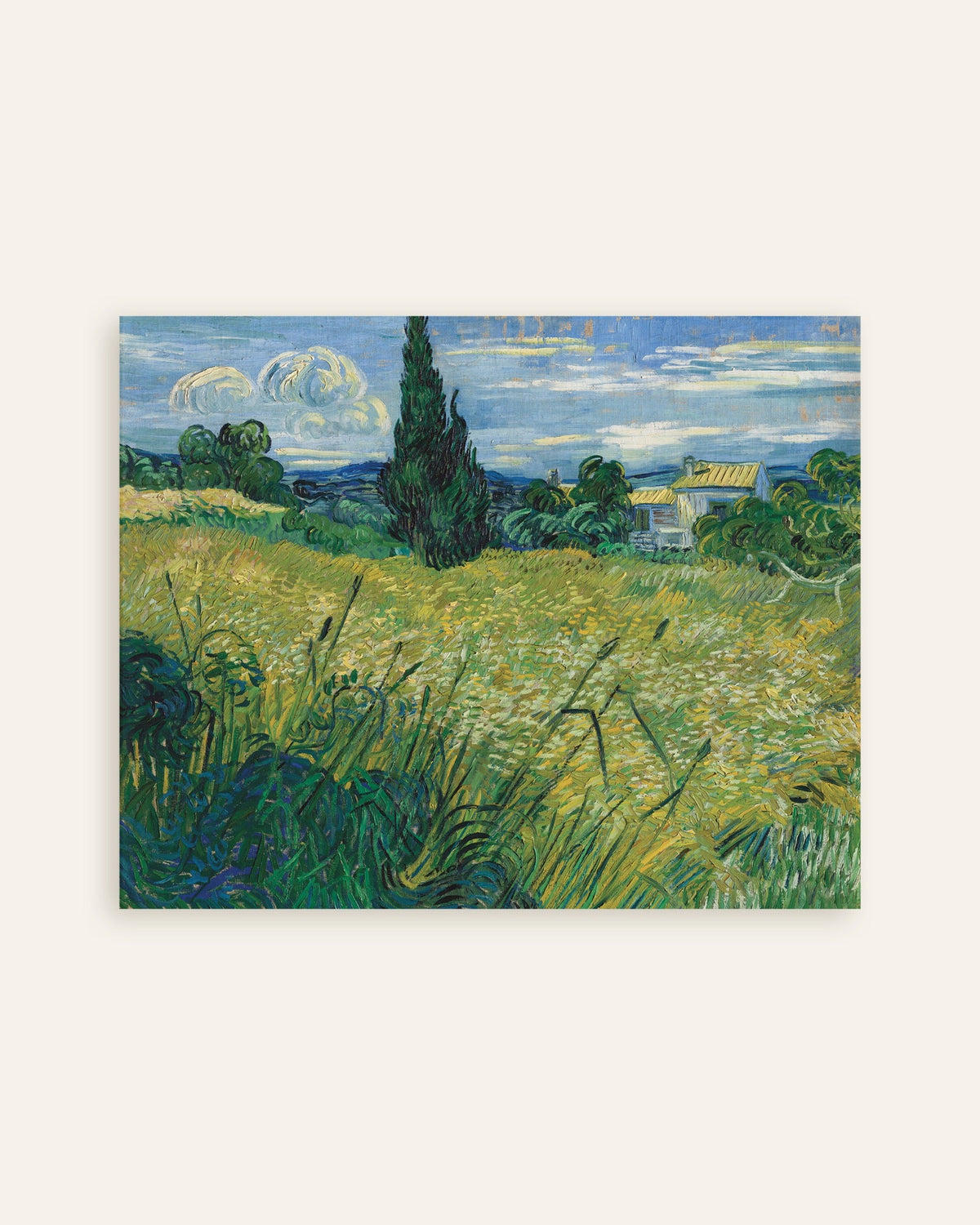 Póster de Campo de trigo verde con ciprés (1889), de Vincent van Gogh, miniatura