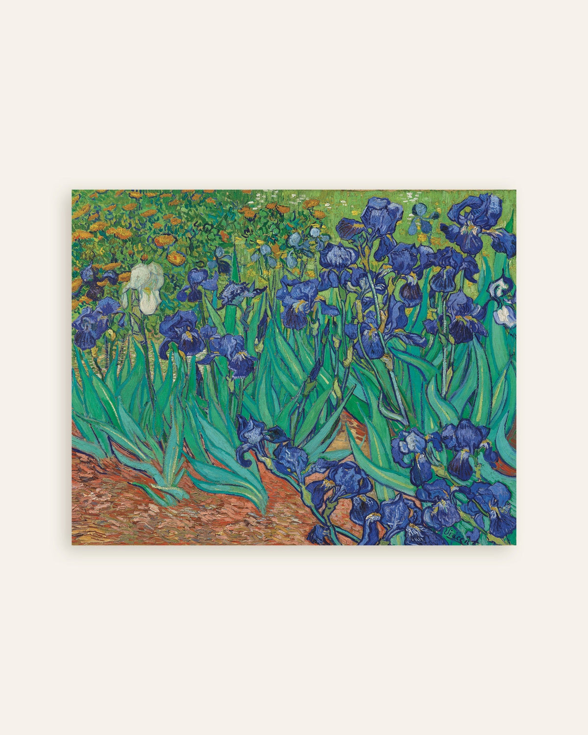 Póster de Irises (1889), de Vincent van Gogh, en miniatura