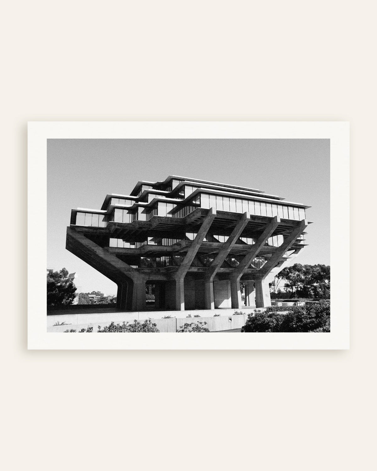 Póster «Biblioteca sobre pilares de hormigón», miniatura