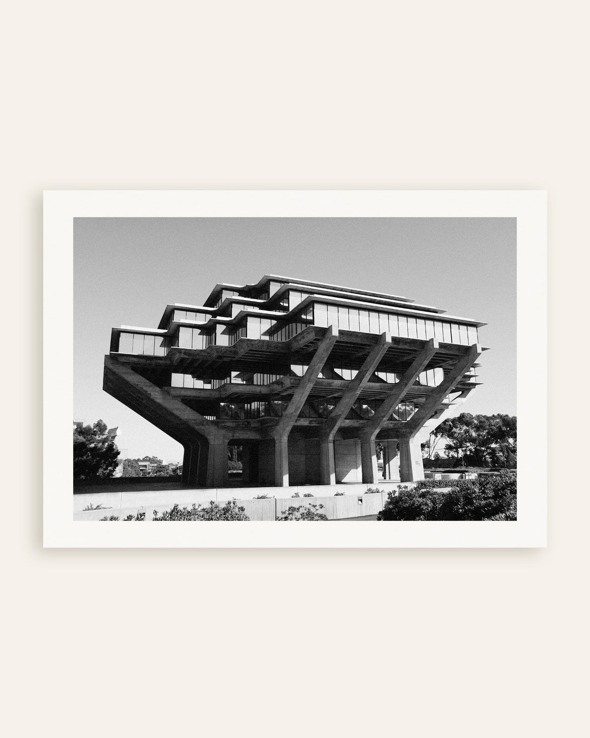 Póster «Biblioteca sobre pilares de hormigón», miniatura