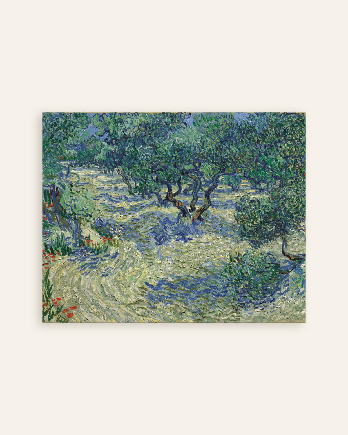 Póster de Huerto de olivos (1889), de Vincent van Gogh, miniatura