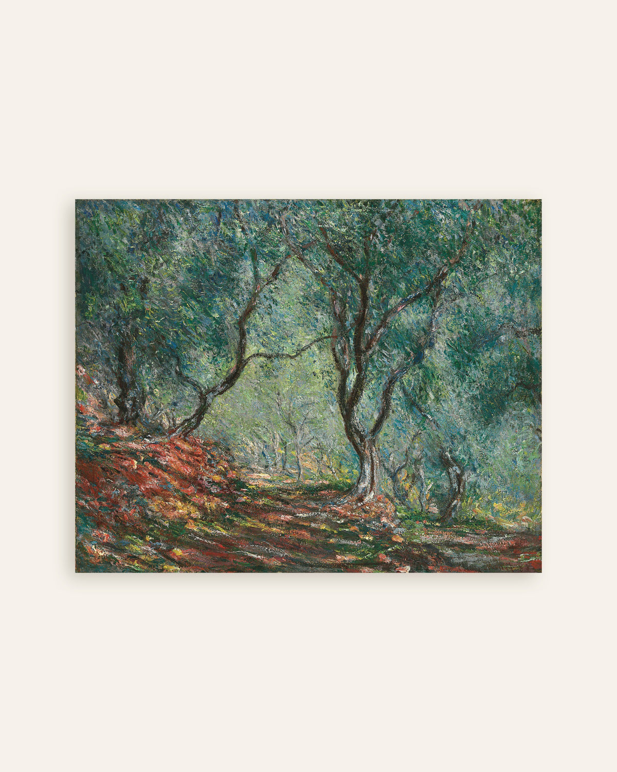 Póster Olivar en el jardín Moreno (1884), de Claude Monet, miniatura