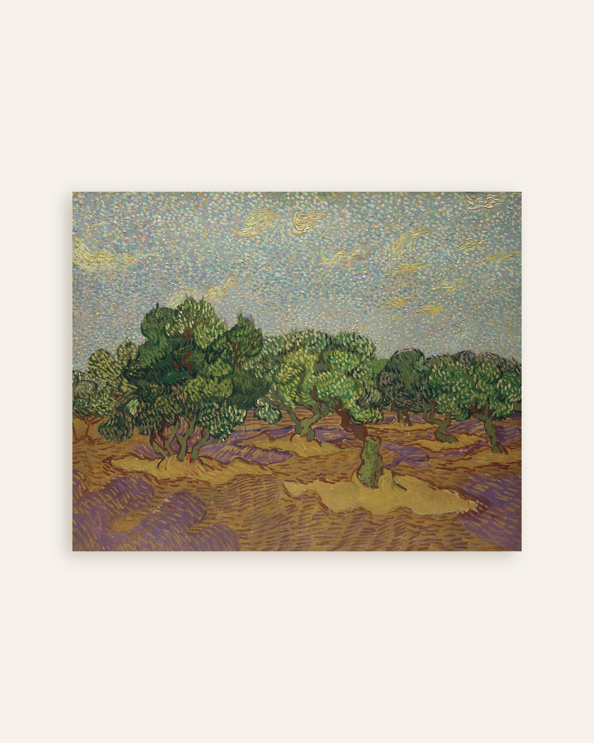 Póster de Olivos bajo un cielo pálido (1889), de Vincent van Gogh, en miniatura