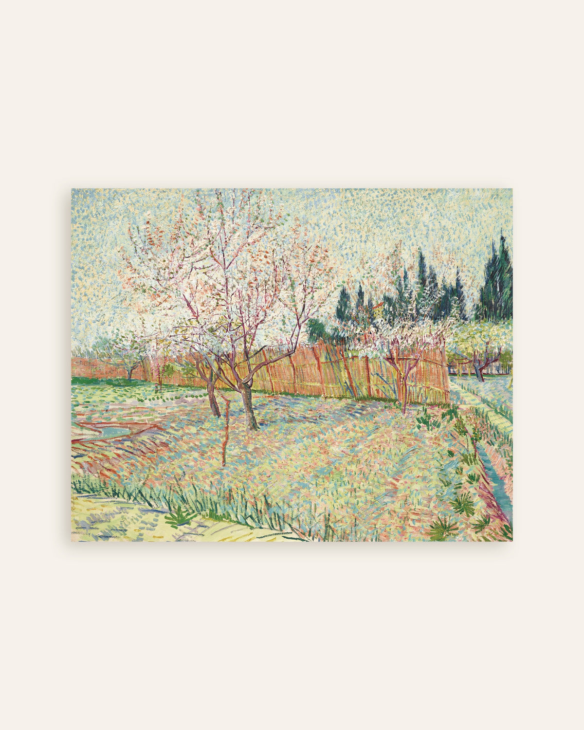 Póster de Huerto bordeado de cipreses (1888), de Vincent van Gogh, miniatura