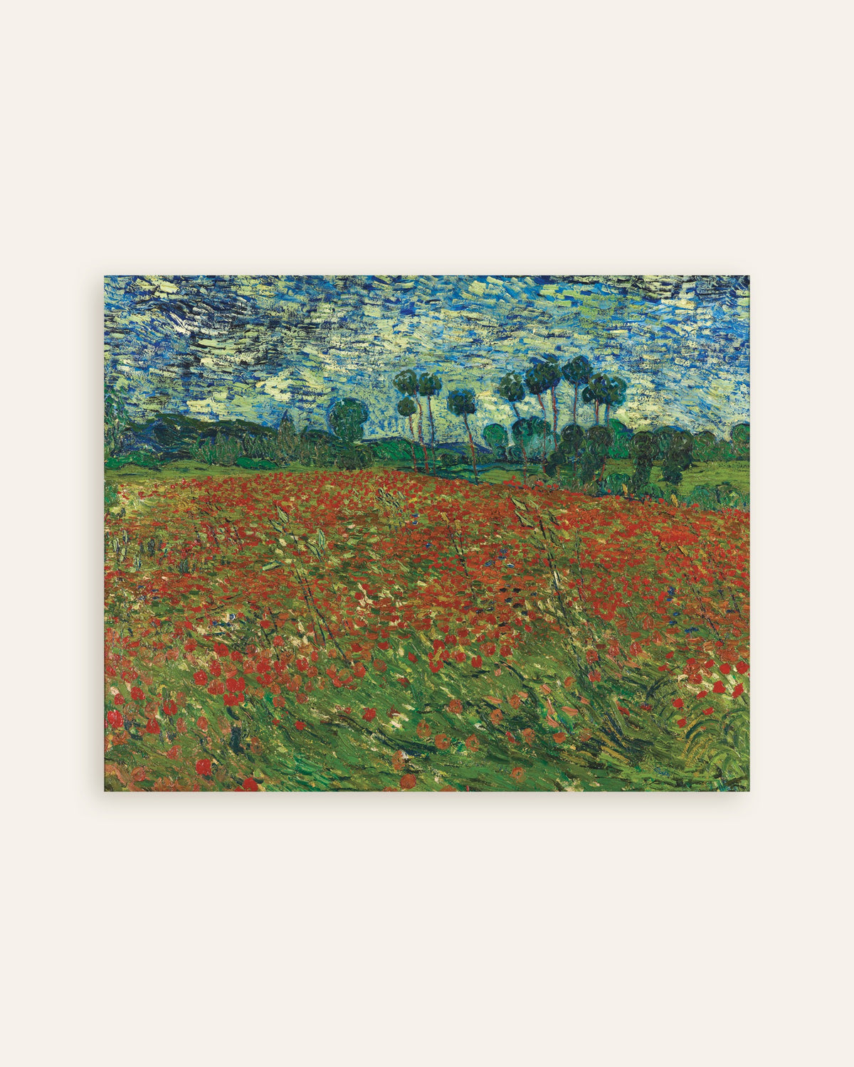 Póster de Campo de amapolas (1890), de Vincent van Gogh, en miniatura