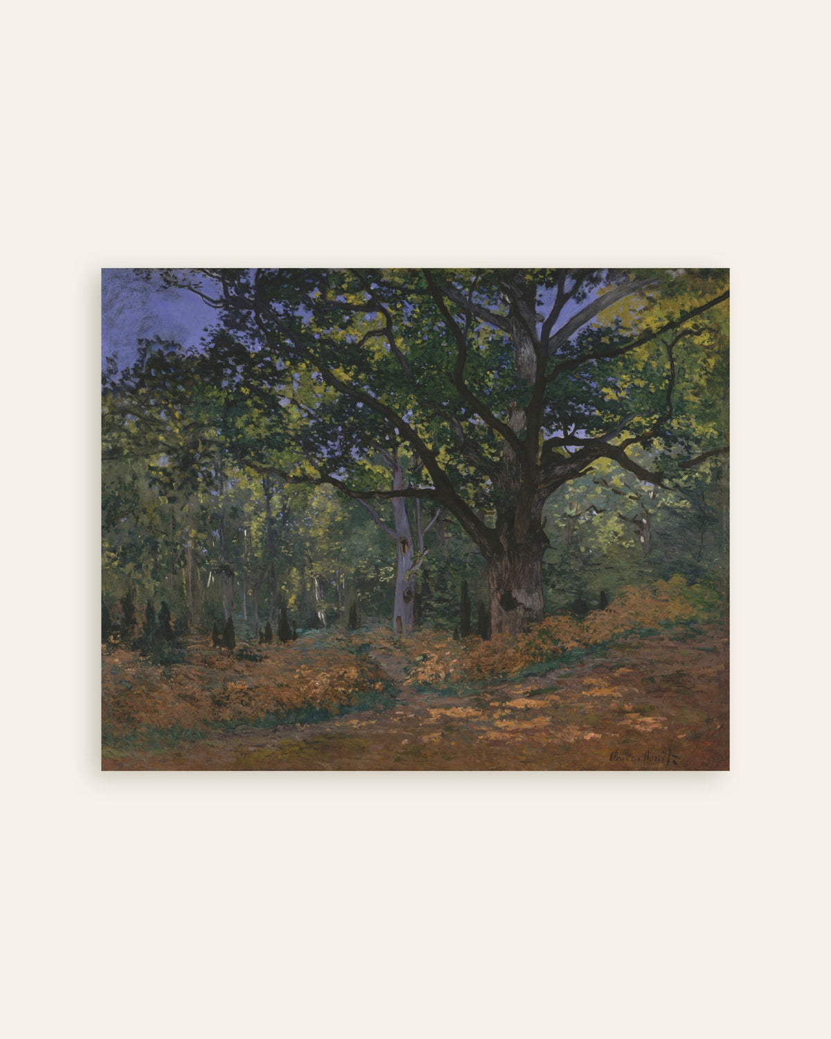 Póster El roble de Bodmer, bosque de Fontainebleau (1865), de Claude Monet, miniatura