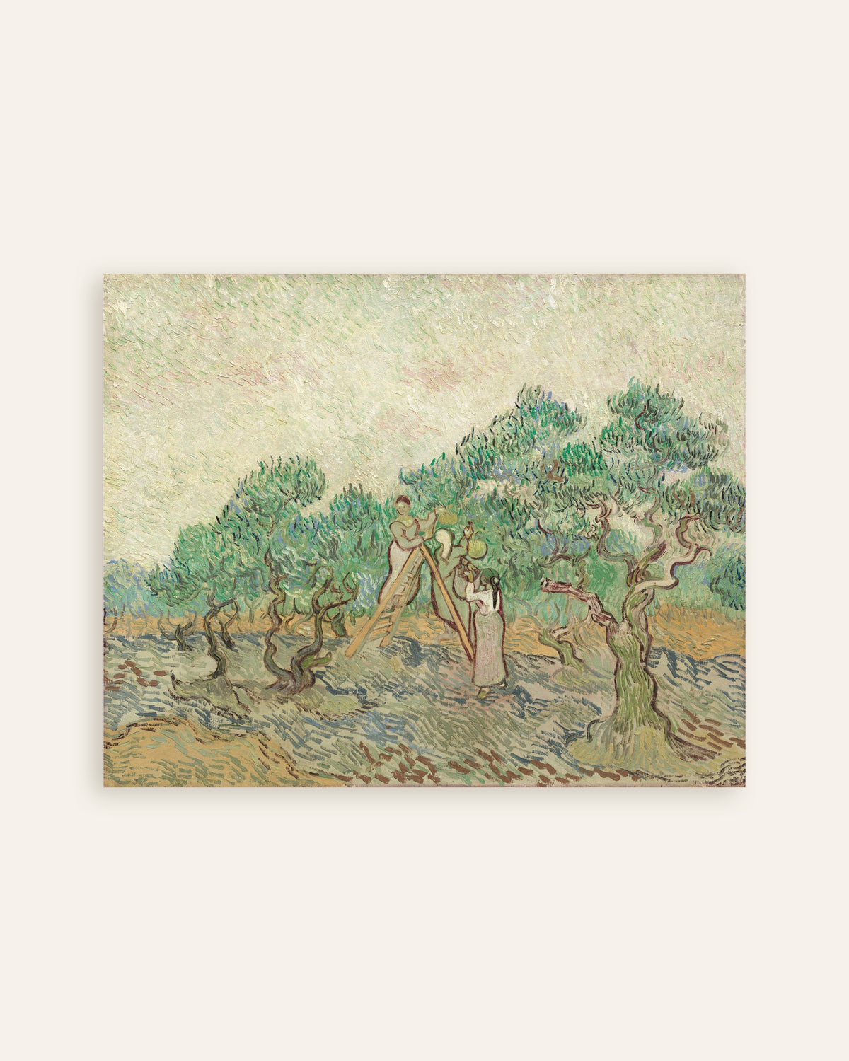 Póster de El olivar (1889), de Vincent van Gogh, en miniatura