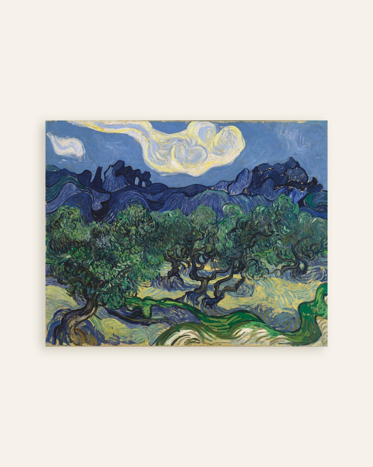 Póster de Los olivos (1889), de Vincent van Gogh, miniatura