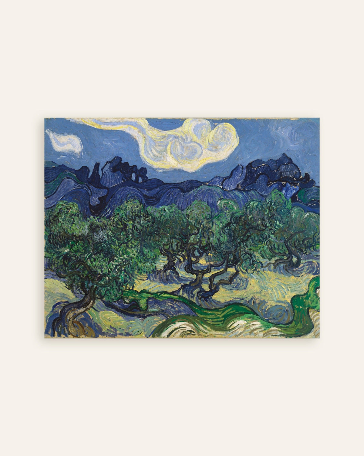 Póster de Los olivos (1889), de Vincent van Gogh, miniatura