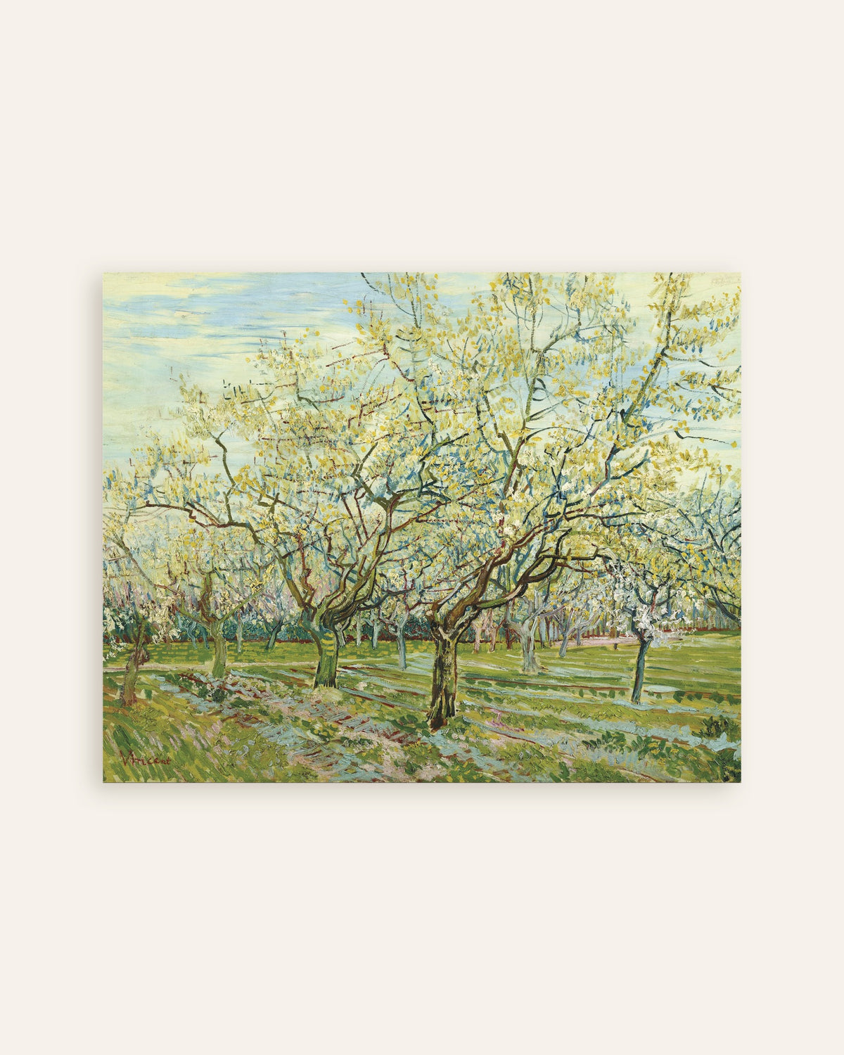 Miniatura del póster El huerto blanco (1888), de Vincent van Gogh