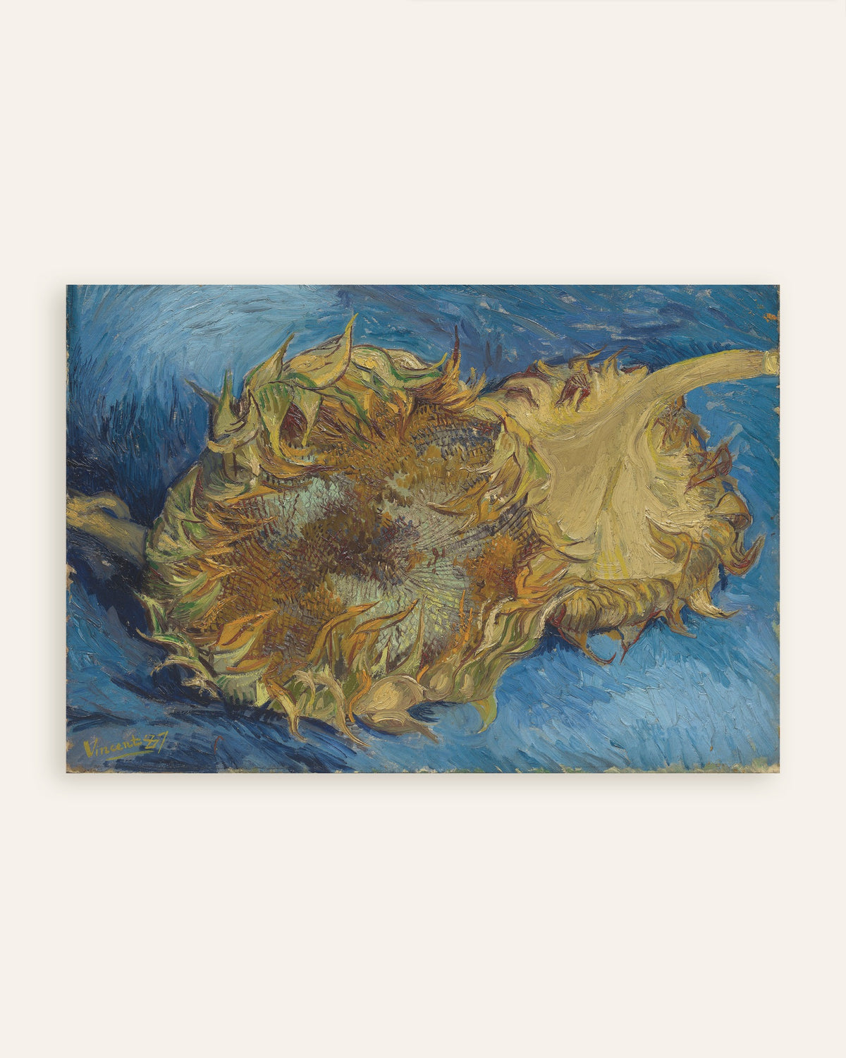 Miniatura del póster Dos girasoles cortados (1887), de Vincent van Gogh