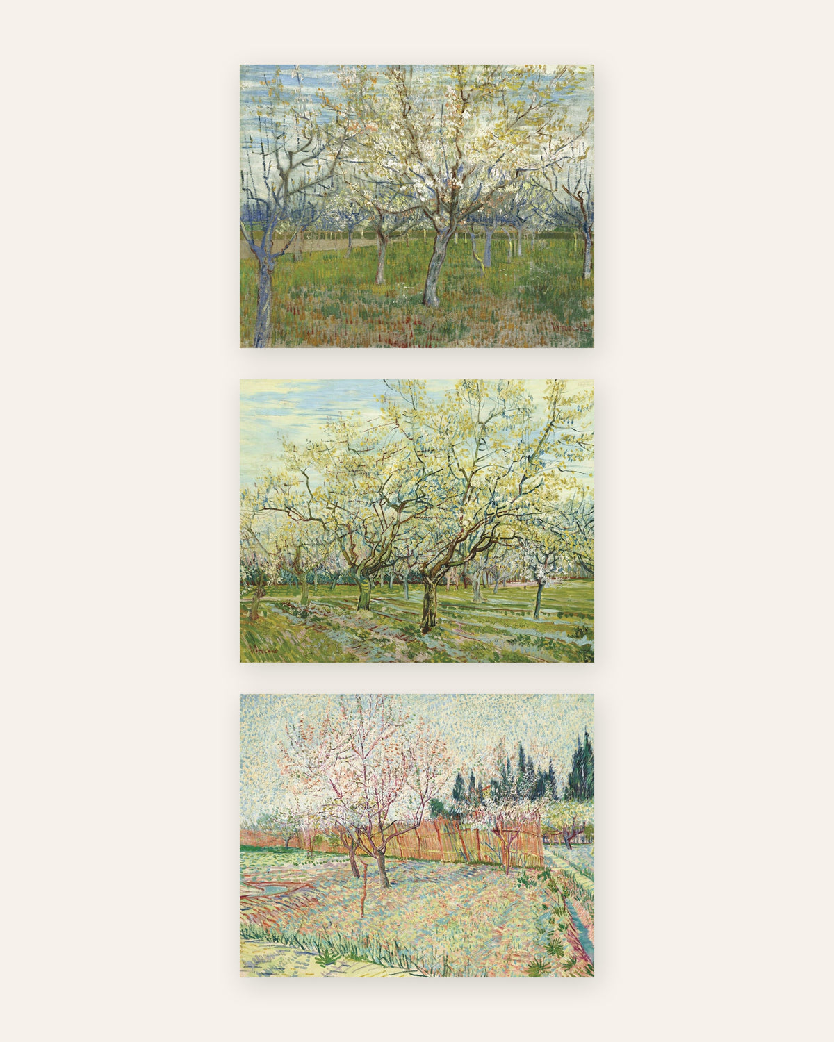 Pósters de Van Gogh, huertos en flor, conjunto de 3: rosa, blanco y con cipreses, sin marco