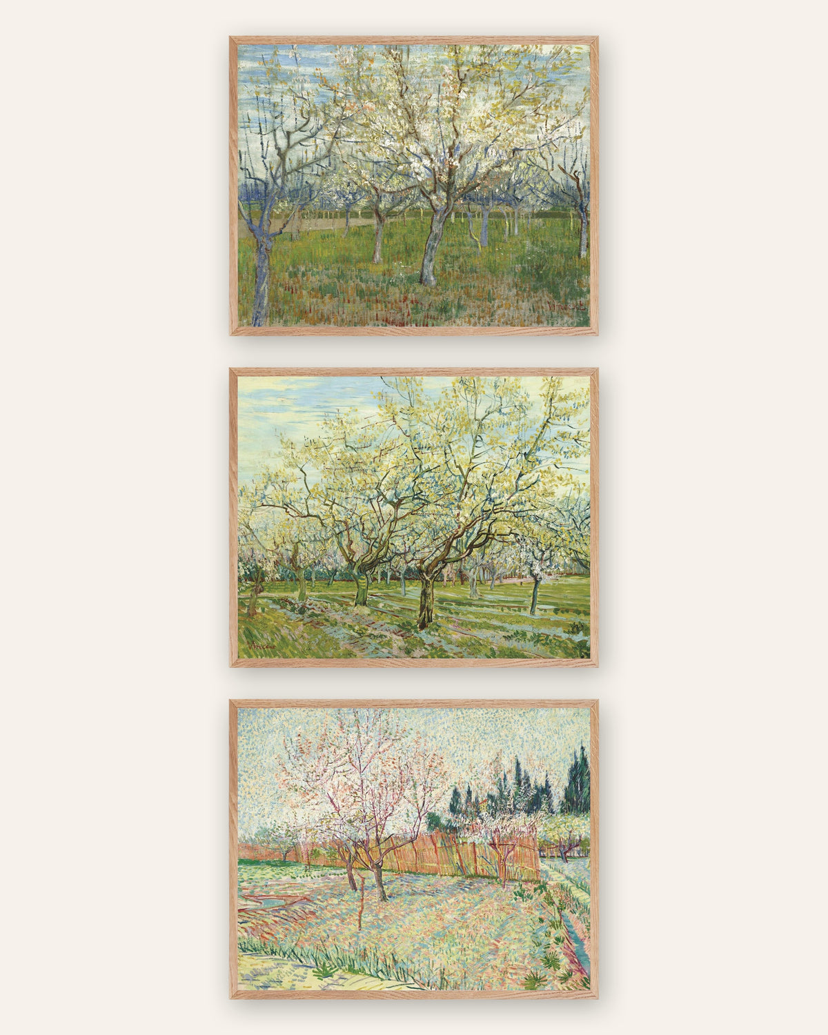 Pósters de Van Gogh, huertos en flor, conjunto de 3: rosa, blanco y con cipreses, con marcos de roble natural