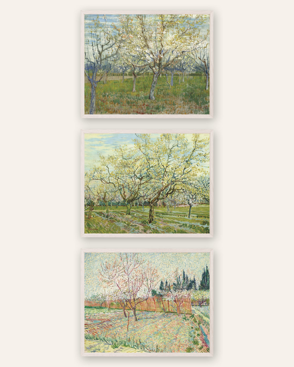 Pósters de Van Gogh, huertos en flor, conjunto de 3: rosa, blanco y con cipreses, con marcos de roble blanco
