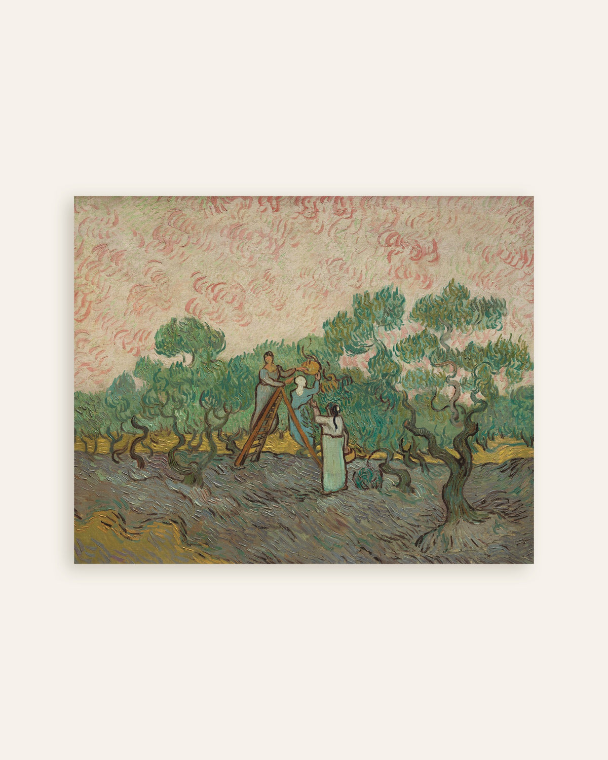 Póster de Mujeres recogiendo aceitunas (1889), de Vincent van Gogh, en miniatura