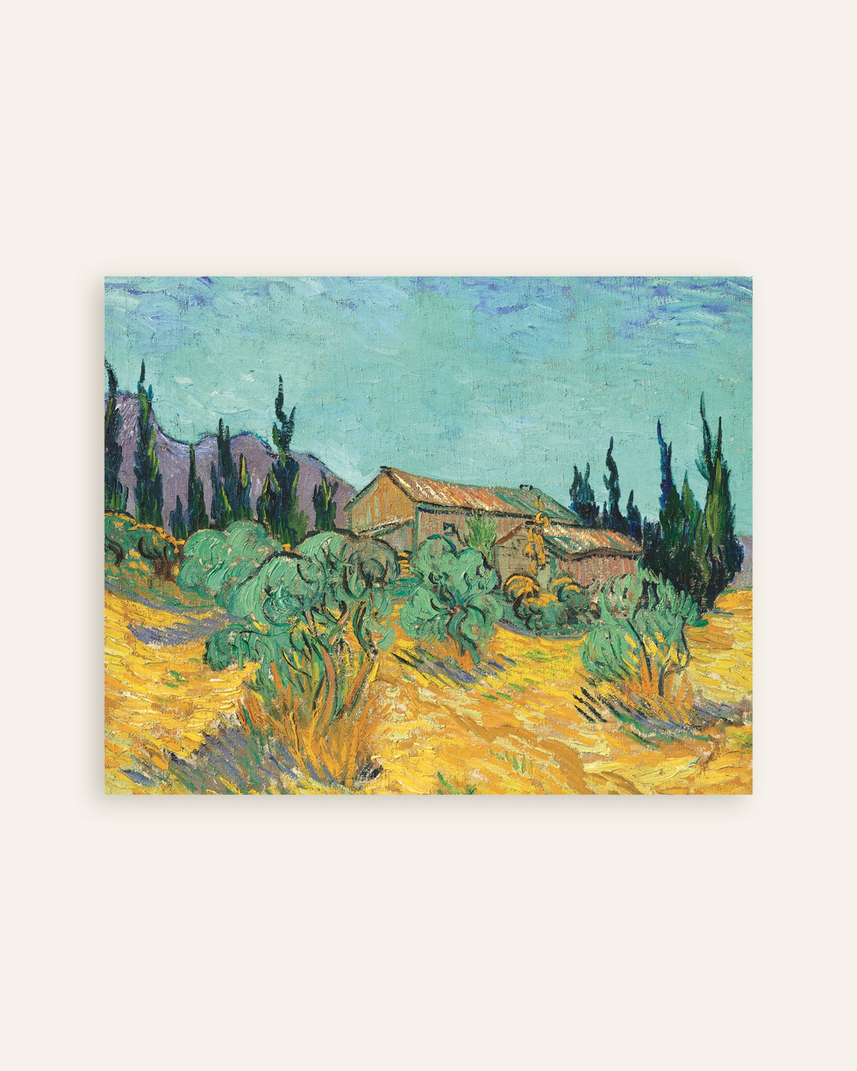 Póster de Cabañas de madera entre olivos y cipreses (1889), de Vincent van Gogh, en miniatura